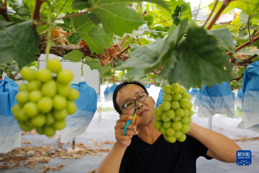 大奖网彩票触屏版本